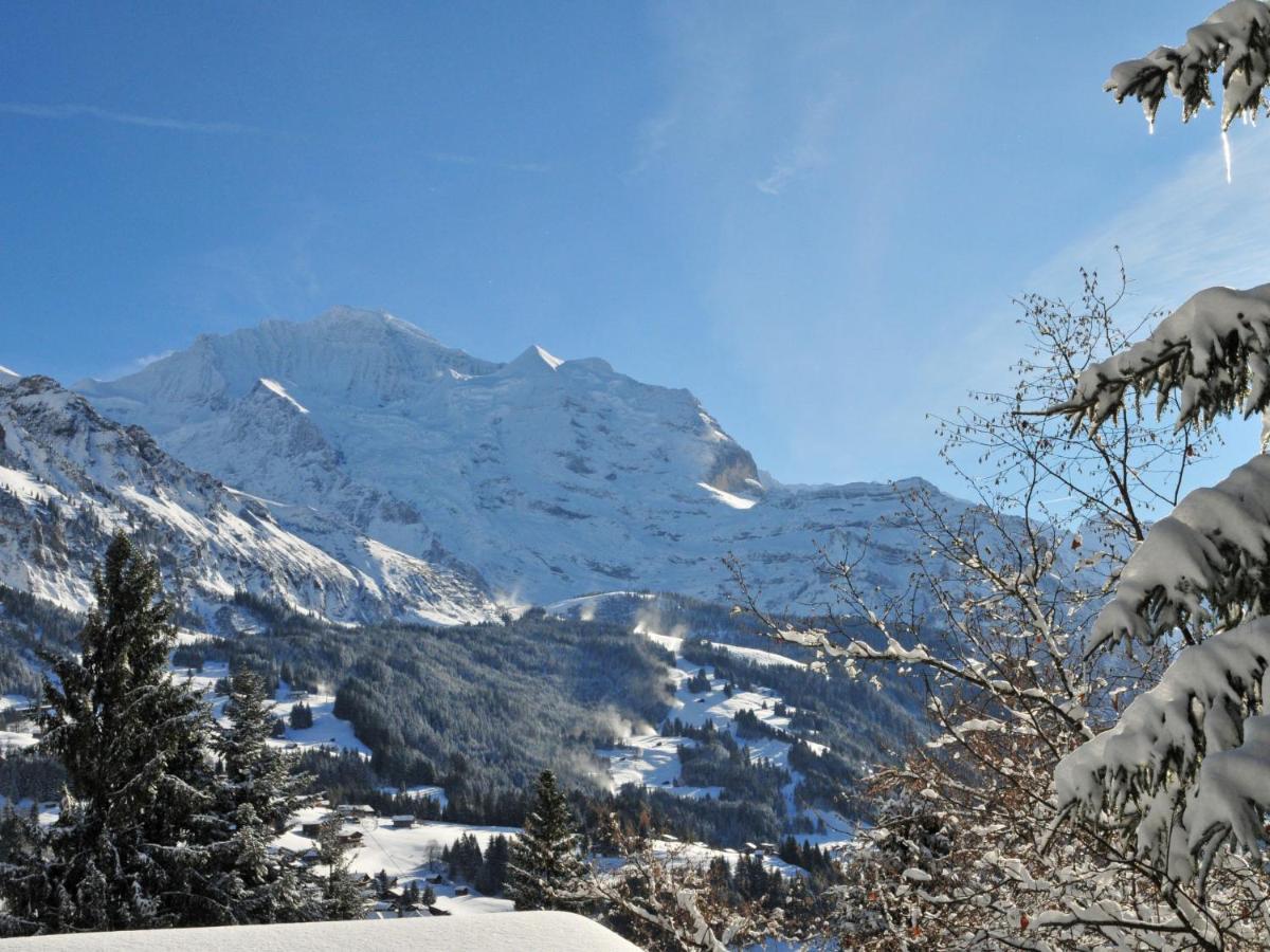 Apartment Tschingelhorn By Interhome Wengen Bagian luar foto